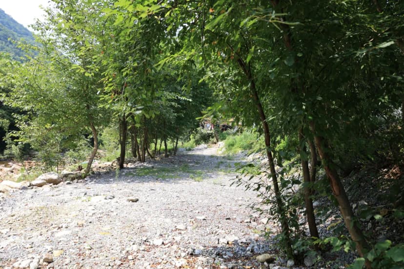 하우스 캠핑장 사진 7