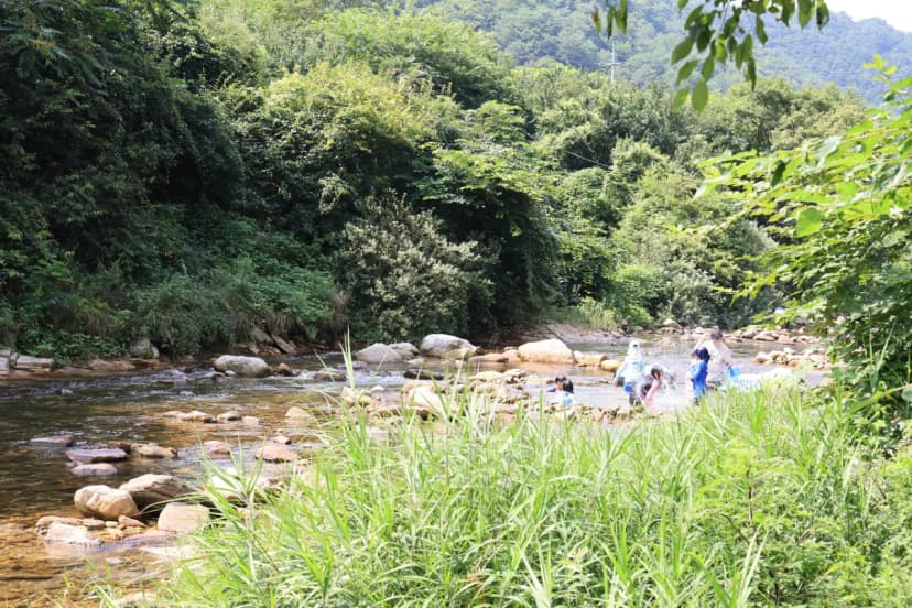 하우스 캠핑장 사진 11