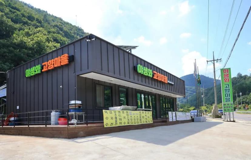 600마지기 가는길 야영장 사진 2