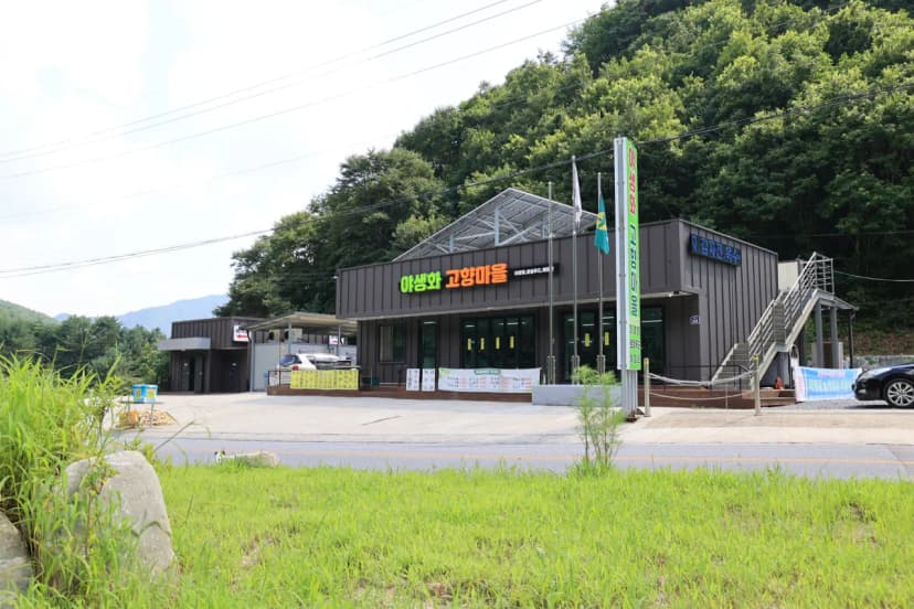 600마지기 가는길 야영장 사진 4