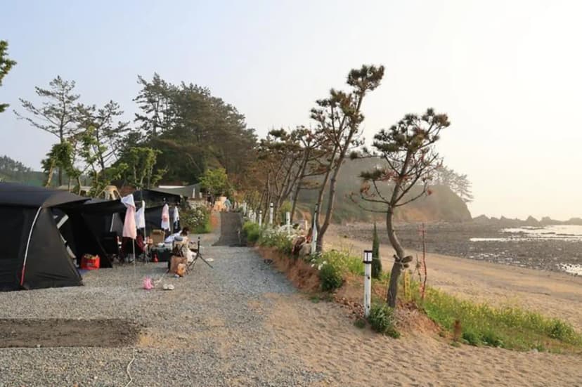 파도와노을캠핑장 사진 3