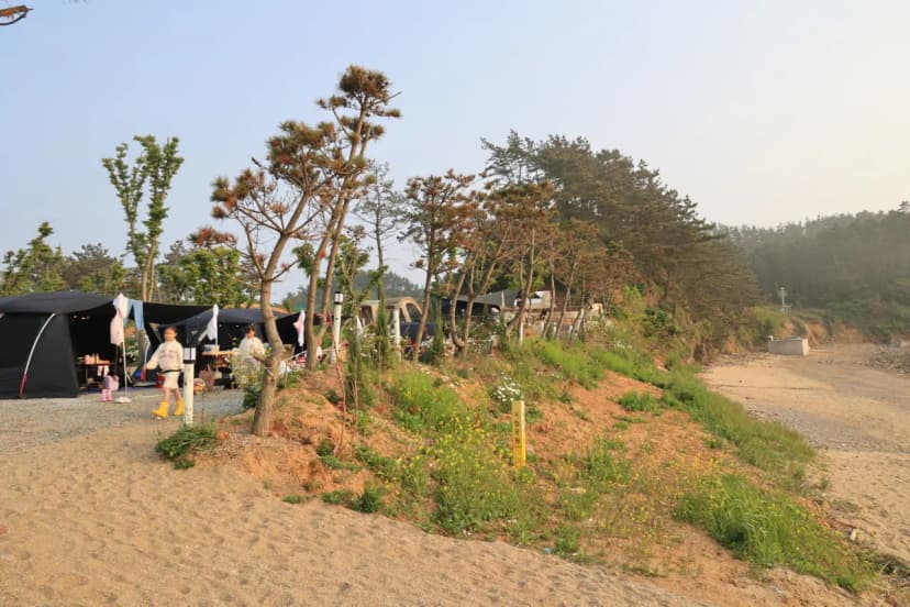 파도와노을캠핑장 사진 5
