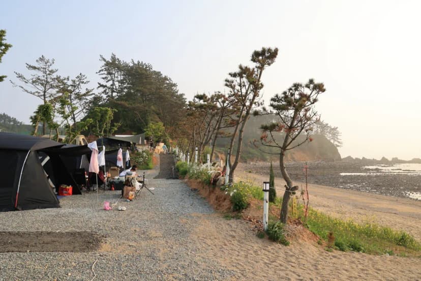 파도와노을캠핑장 사진 6