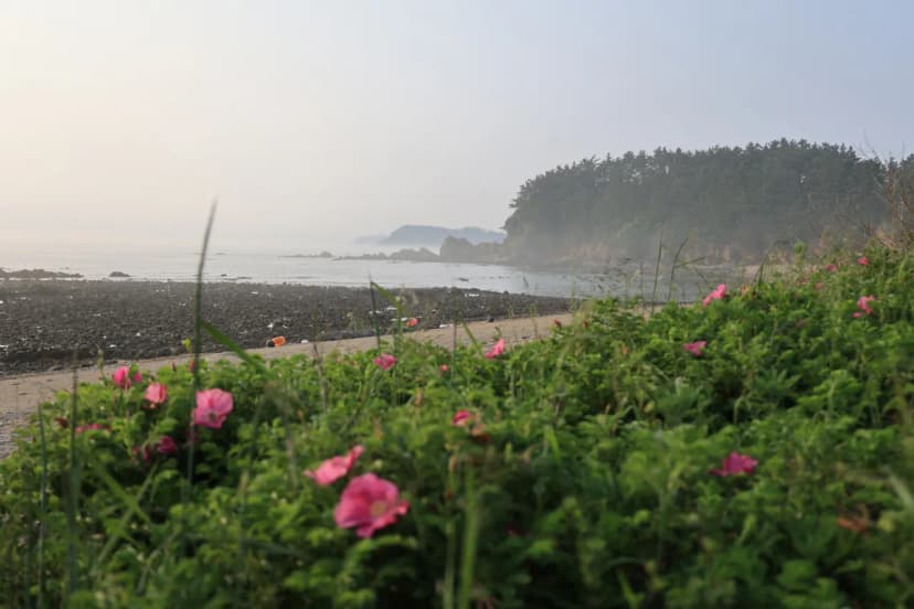 파도와노을캠핑장 사진 7