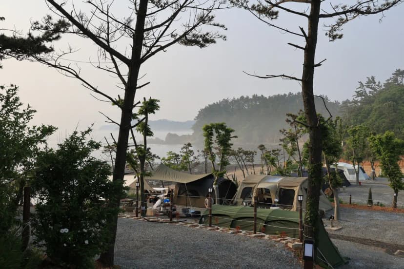 파도와노을캠핑장 사진 16