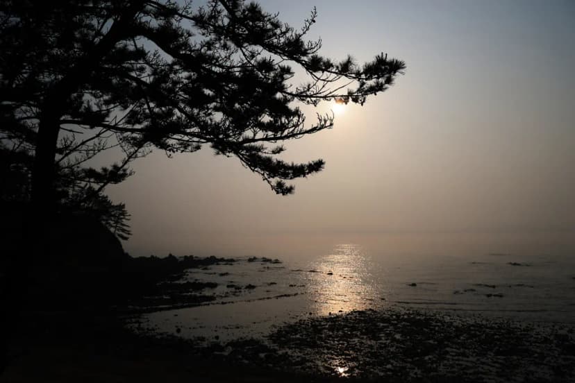 파도와노을캠핑장 사진 20