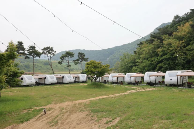 서산클럽아일랜드 사진 6