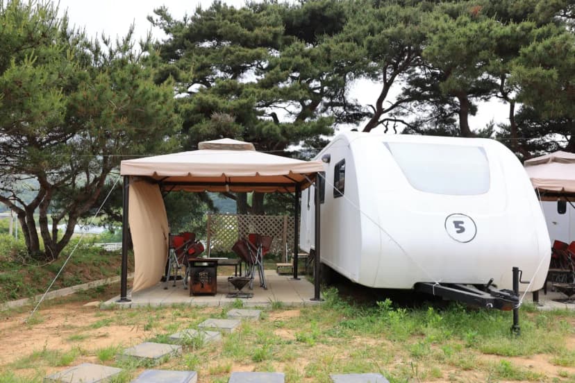 서산클럽아일랜드 사진 7