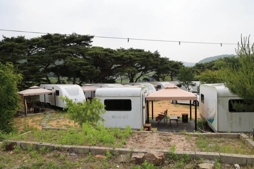 서산클럽아일랜드 사진 9