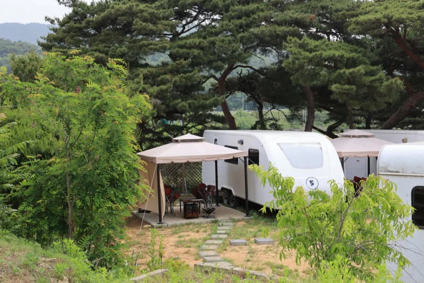 서산클럽아일랜드 사진 10
