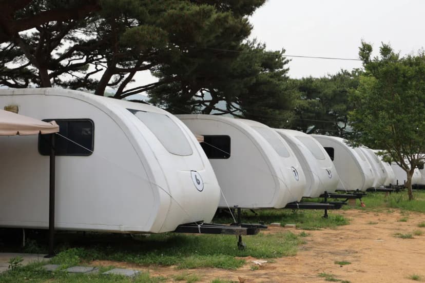서산클럽아일랜드 사진 11