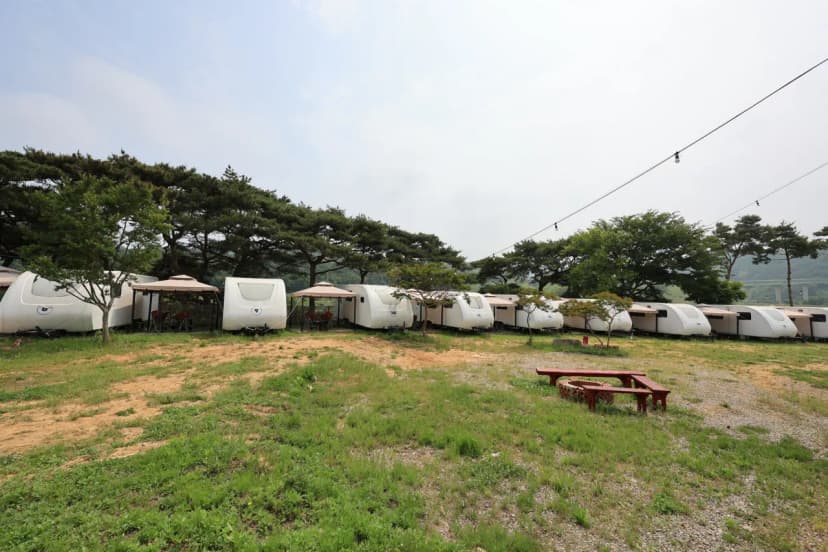 서산클럽아일랜드 사진 17