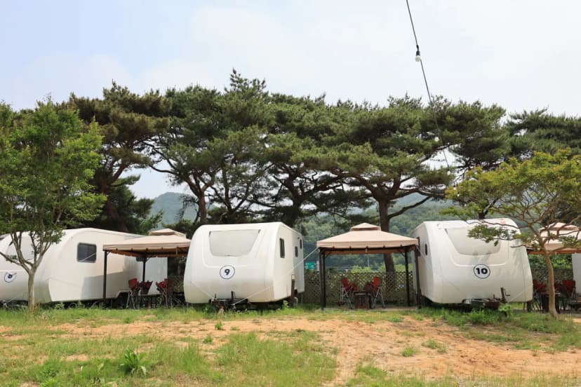 서산클럽아일랜드 사진 18