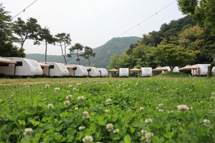 서산클럽아일랜드 사진 19