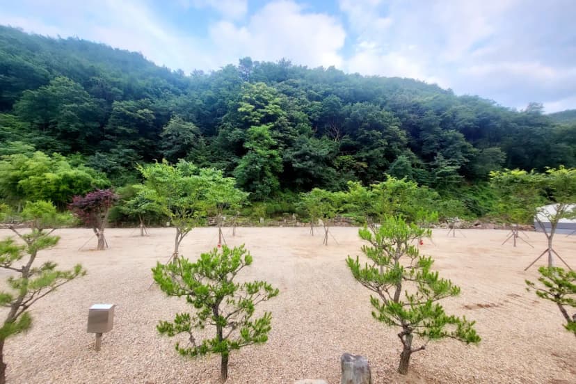 가은달빛캠핑장 사진 9