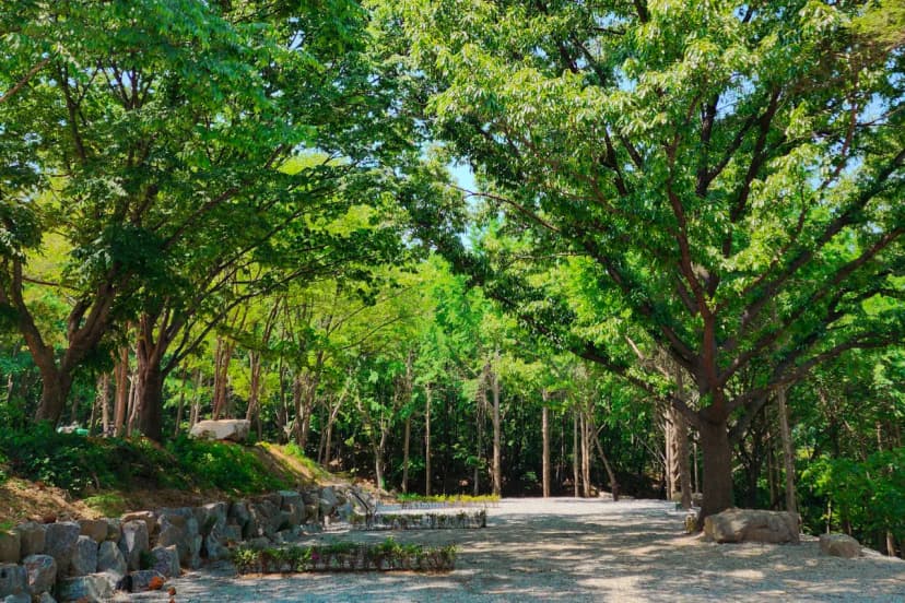 (주)스노우라인캠핑빌리지 사진 3