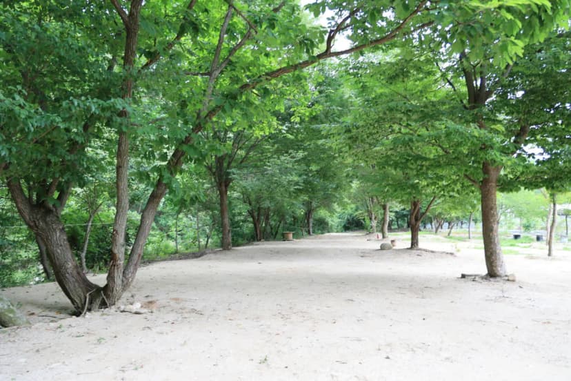 도마치 자연그대로 캠핑장 사진 9