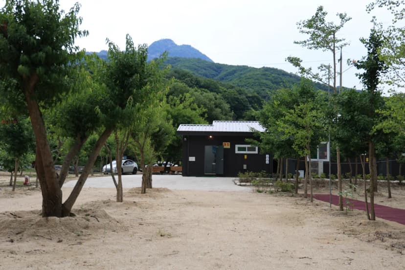 도마치 자연그대로 캠핑장 사진 11