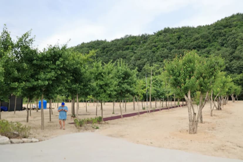 도마치 자연그대로 캠핑장 사진 14