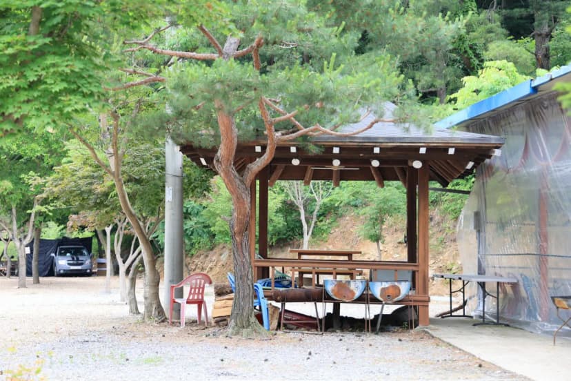 돌궁캠핑장 사진 6