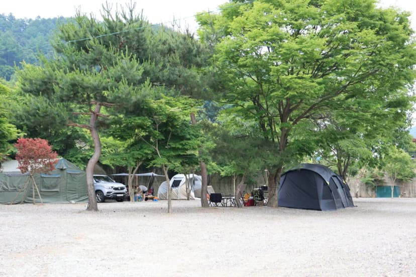 돌궁캠핑장 사진 11
