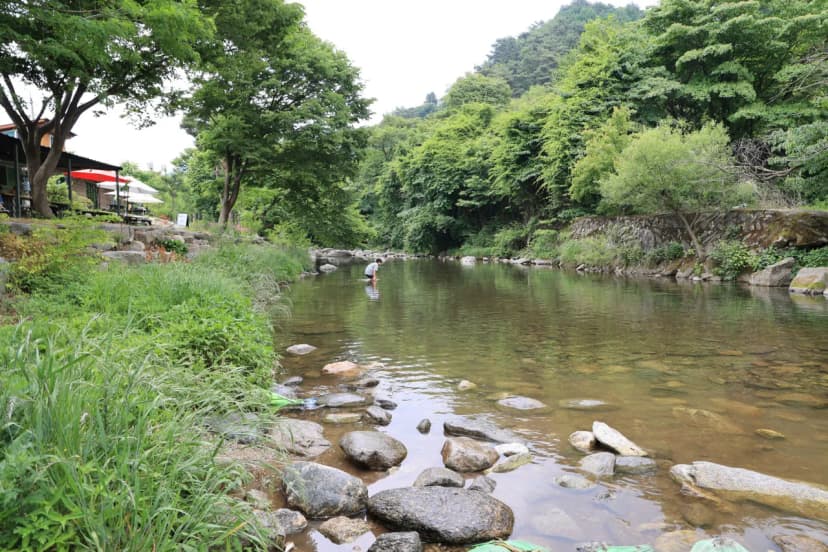 돌궁캠핑장 사진 17