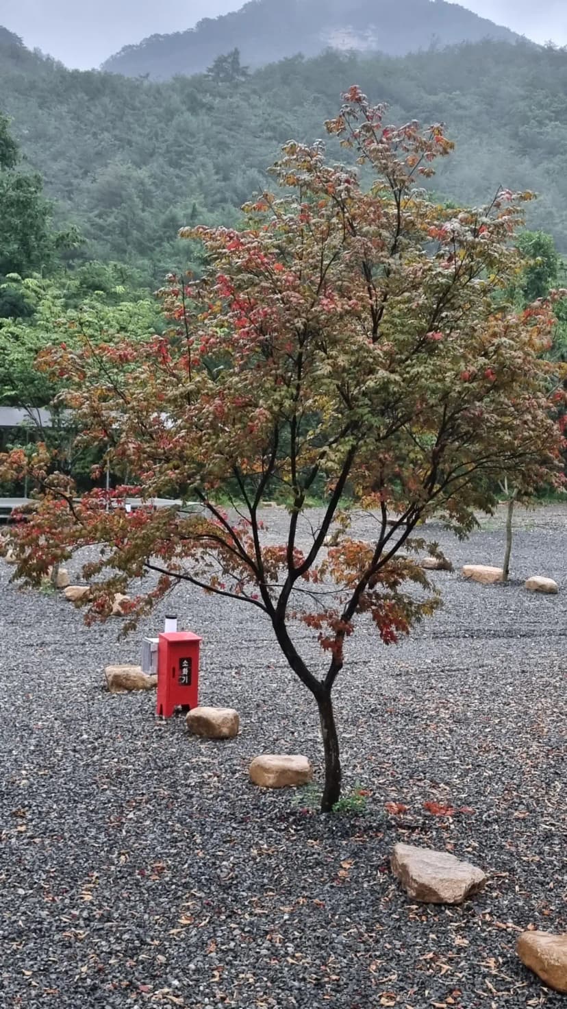 가자우리집 사진 13
