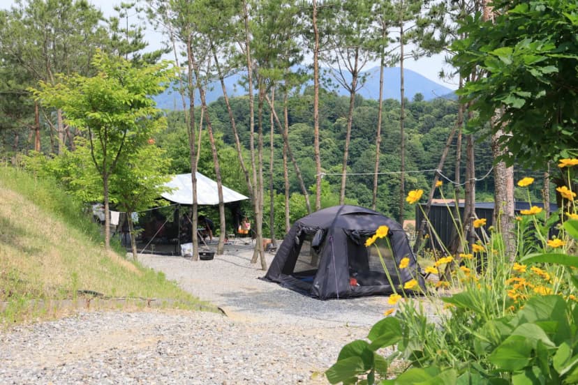 (주)너의아지트가되어줄게 사진 13