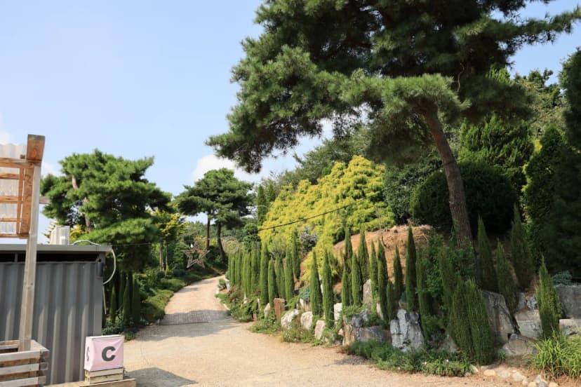 파이브이모션관광농원 사진 11