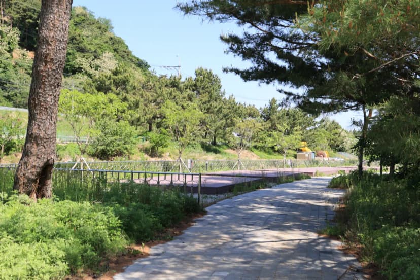 반암오토캠핑장 사진 10