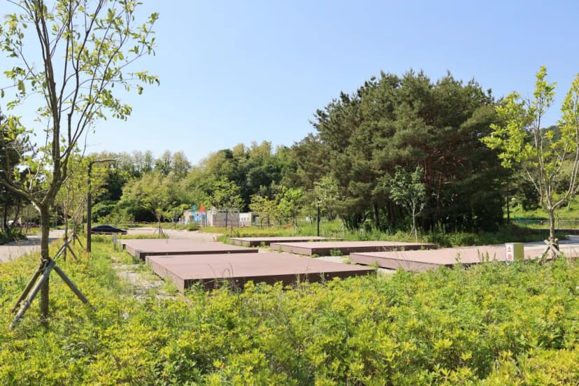 반암오토캠핑장 사진 14