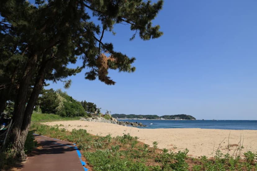 반암오토캠핑장 사진 16