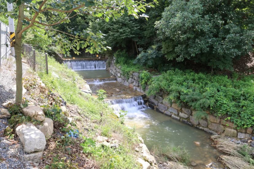 농업회사법인 시즌온 주식회사 사진 12