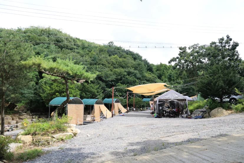 농업회사법인 시즌온 주식회사 사진 19