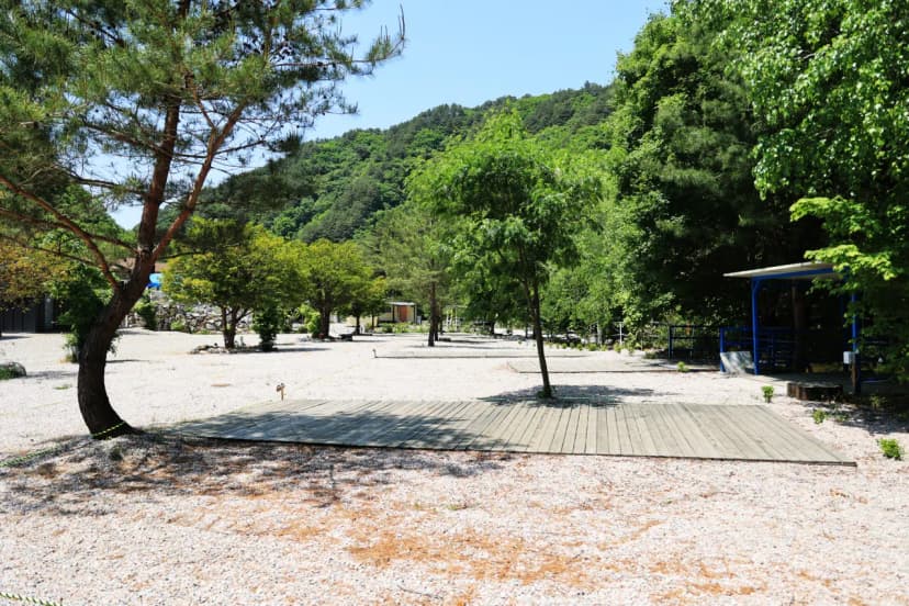 바나나 캠핑장 사진 13