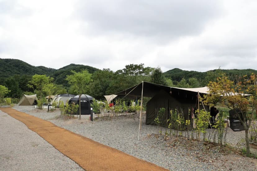 별빛사이 사진 11