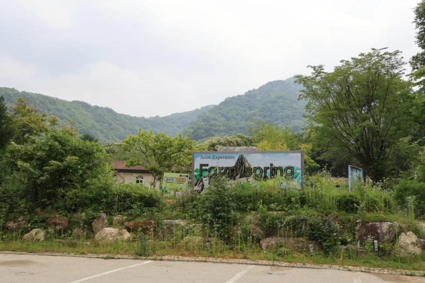팜스프링 야영장 사진 4