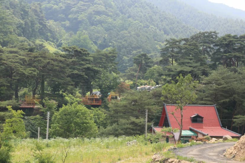 팜스프링 야영장 사진 5