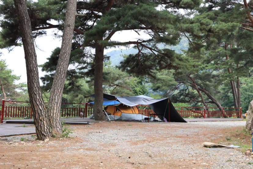 팜스프링 야영장 사진 7