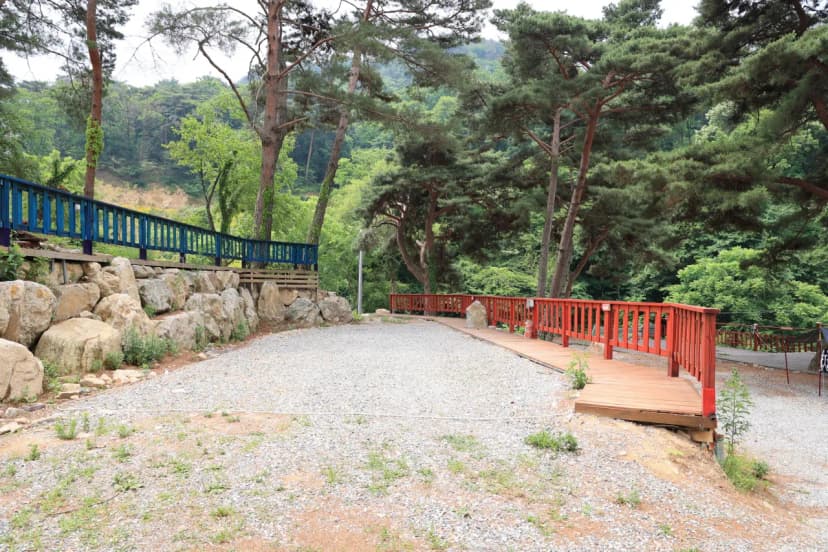 팜스프링 야영장 사진 8
