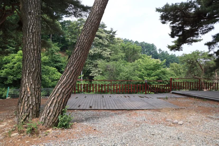 팜스프링 야영장 사진 9