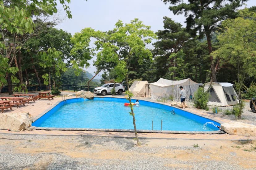 팜스프링 야영장 사진 21