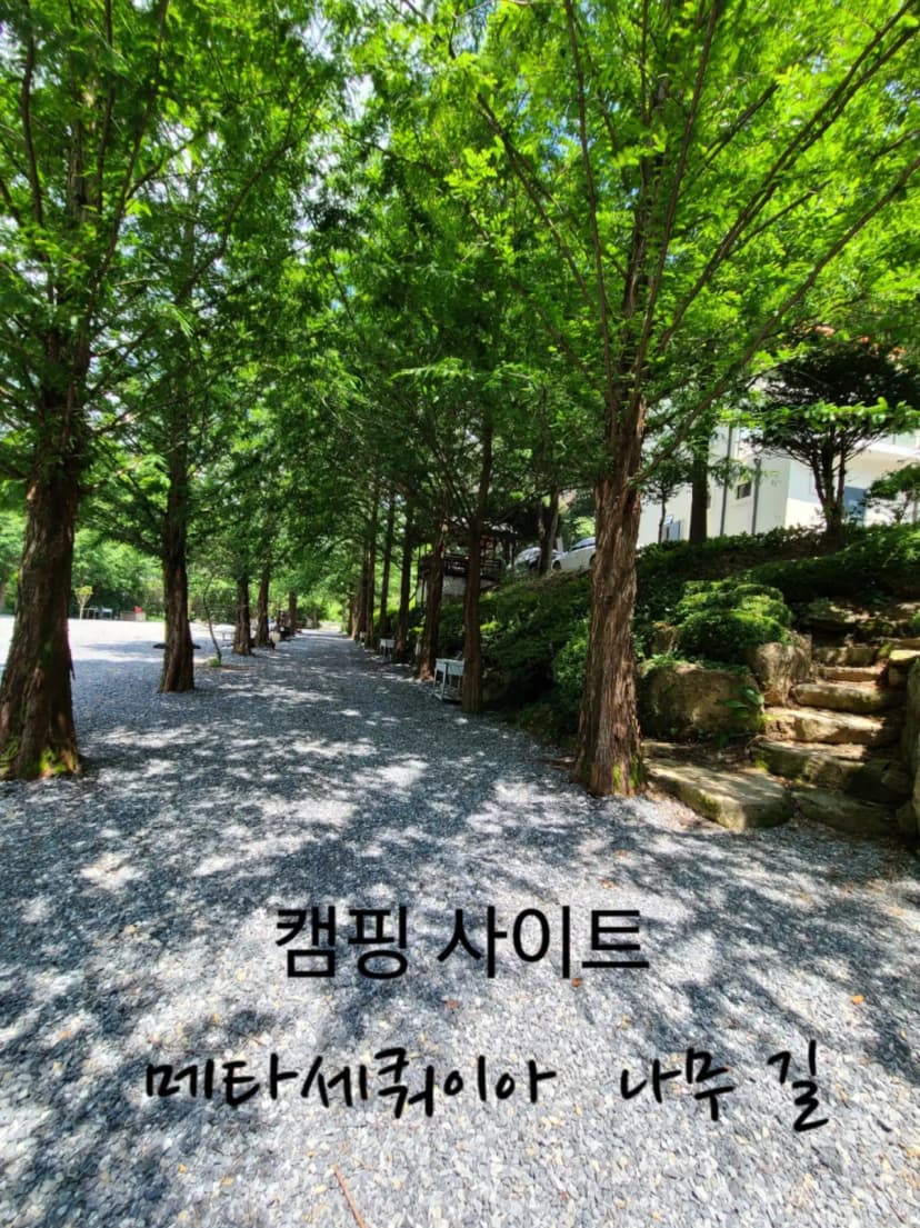더 좋은날 n 캠핑 사진 4