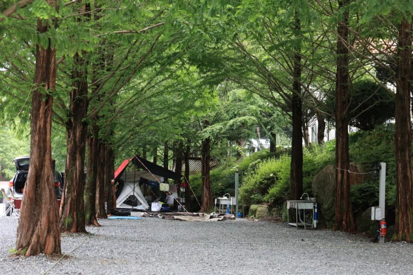더 좋은날 n 캠핑 사진 11