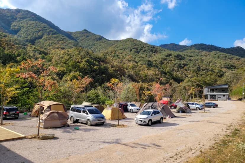 문장대 사계절캠핑장 사진 15