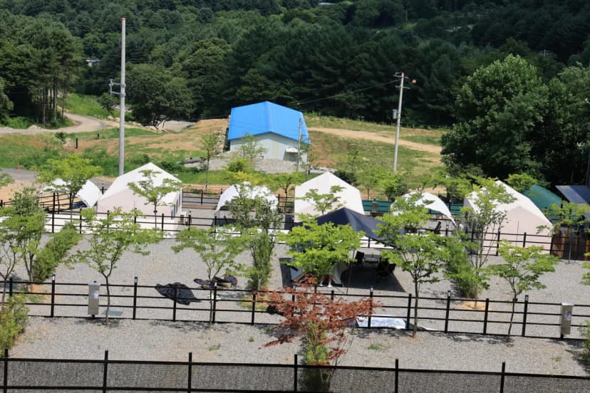 숲속에햇살캠핑장 사진 19