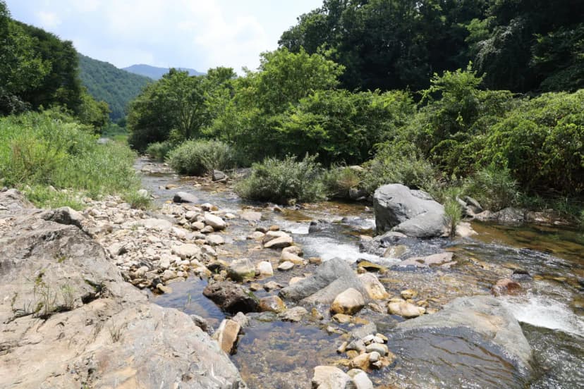 가자 GO캠핑 야영장 사진 9