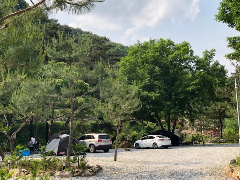 덕동리301캠핑장 사진 10