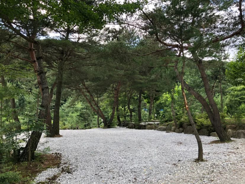덕동리301캠핑장 사진 11