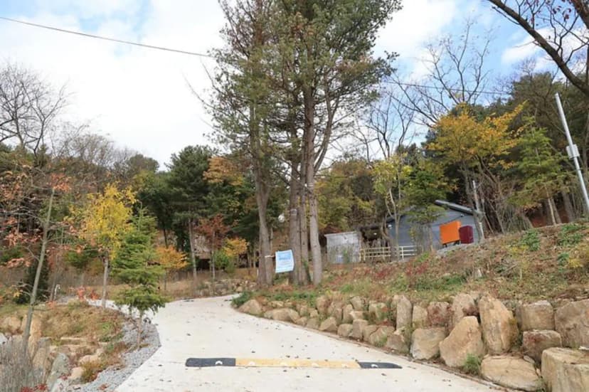 금동휴양림캠프3 사진 2